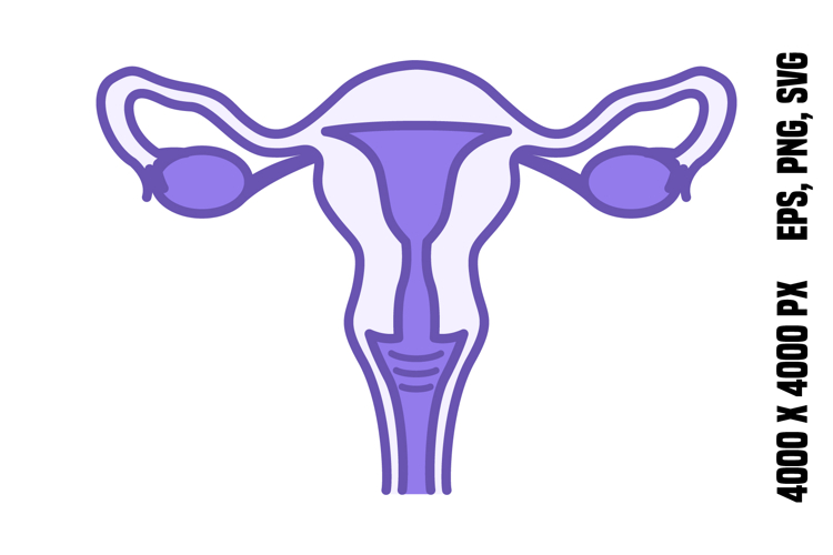 Uterus Clipart Image 3