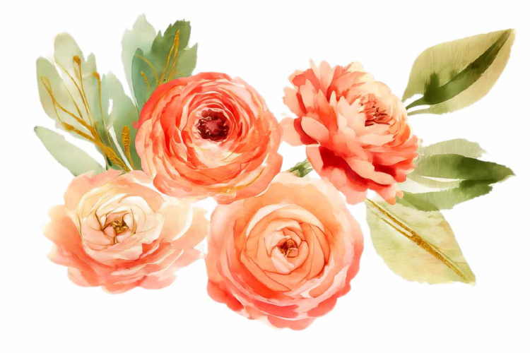 Watercolor soft peony bouquet with green leaves