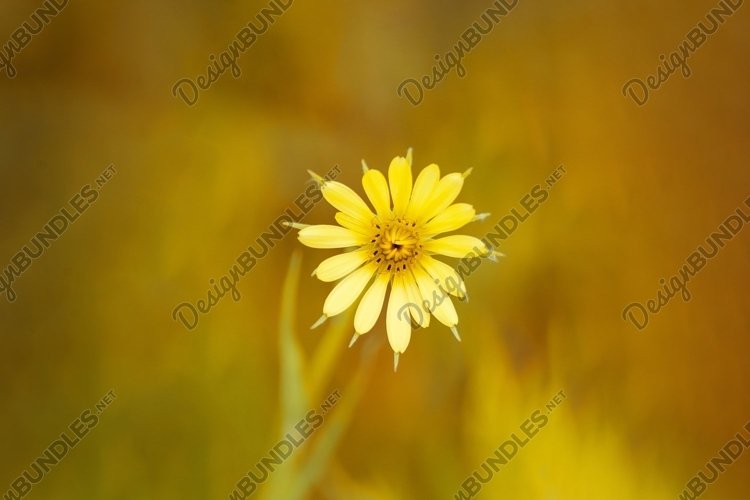 Autumn Clipart Image 9