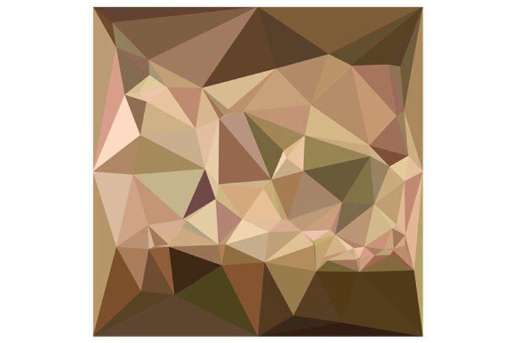 Burlywood Abstract Low Polygon Background