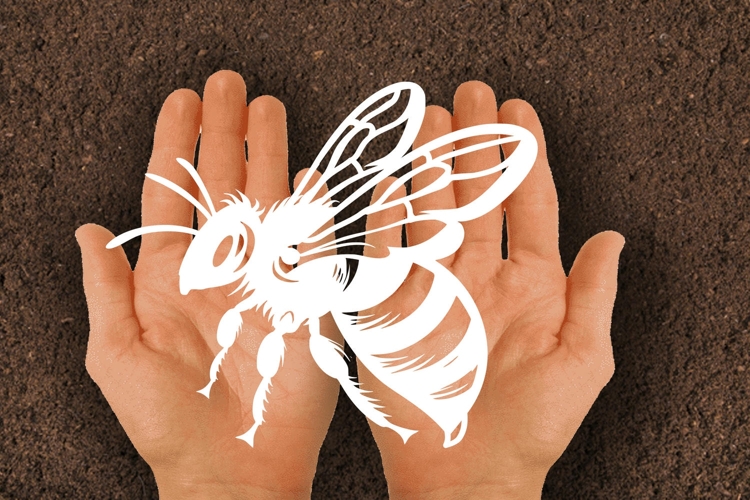 Bee SVG paper Silhouette Cut file