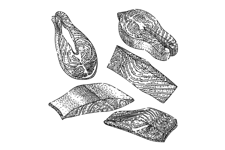 fish fillet set sketch hand drawn