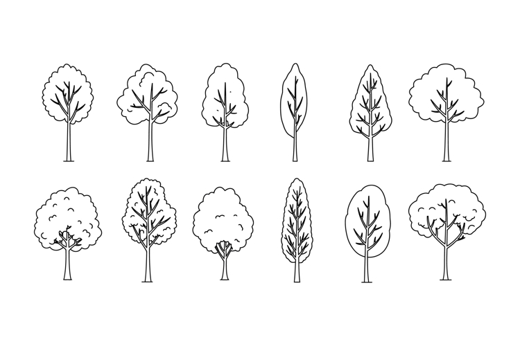 Tree Clipart Image 20