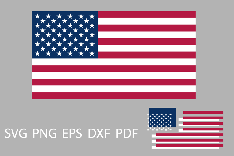 Flag Vector Image 15
