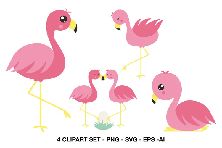 Pink Flamingo Clipart with Tropical Bird Designs