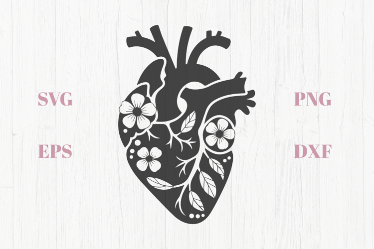Anatomical floral heart SVG