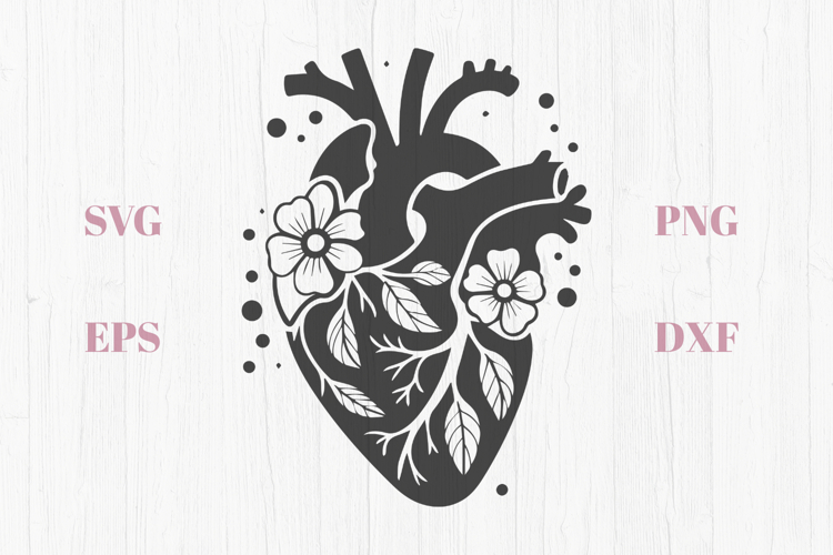 Anatomical Heart Flowers SVG