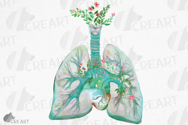 Floral human anatomy lungs with heart graphic design clipart