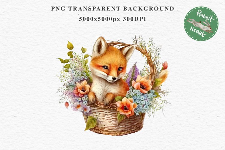 Fox Illustration