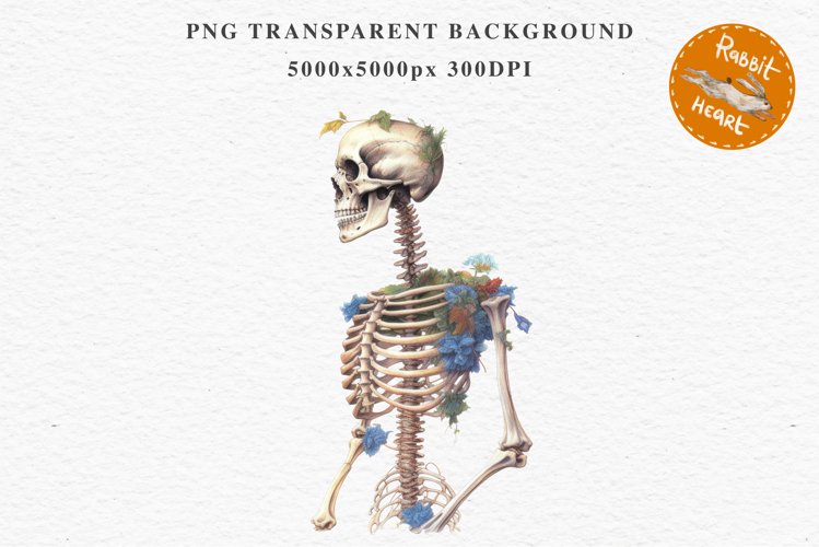 Skeleton Clipart Image 15