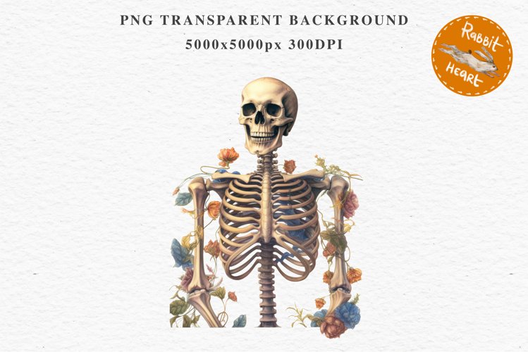 Skeleton PNG Image 7