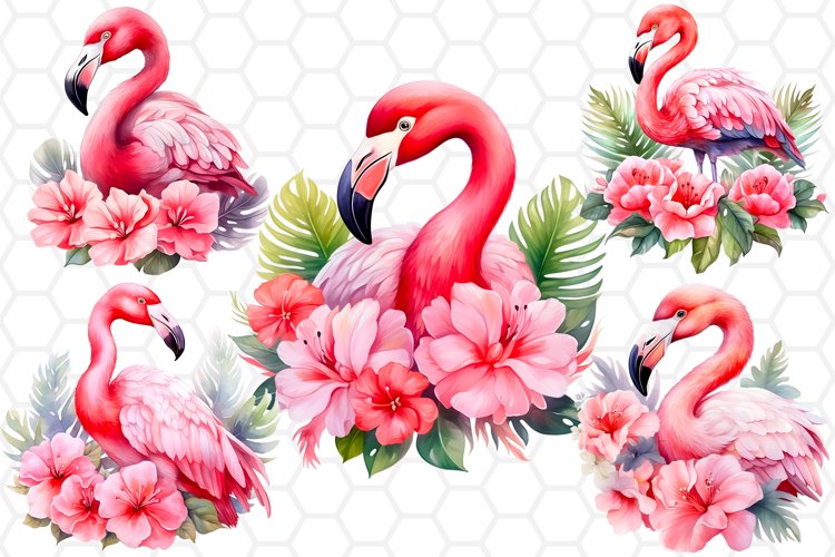Flamingo Png Image 8