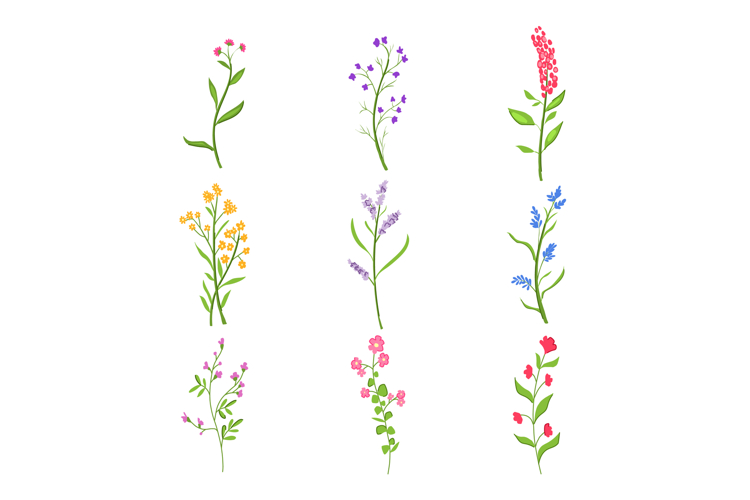 flower branch set cartoon