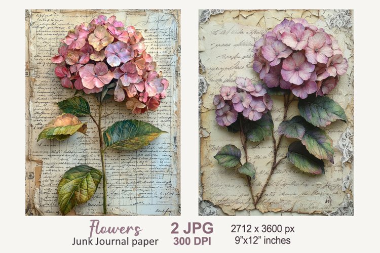 Hydrangea Clipart Image 3