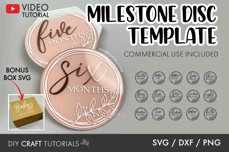 Floral Baby Milestone SVG | Monthly Milestone Discs