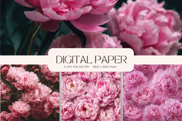 Flower Background Digital Paper Wallpaper Backdrop_69
