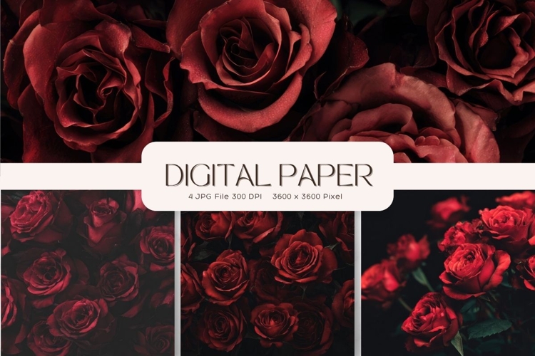 Flower Background Digital Paper Wallpaper Backdrop_16