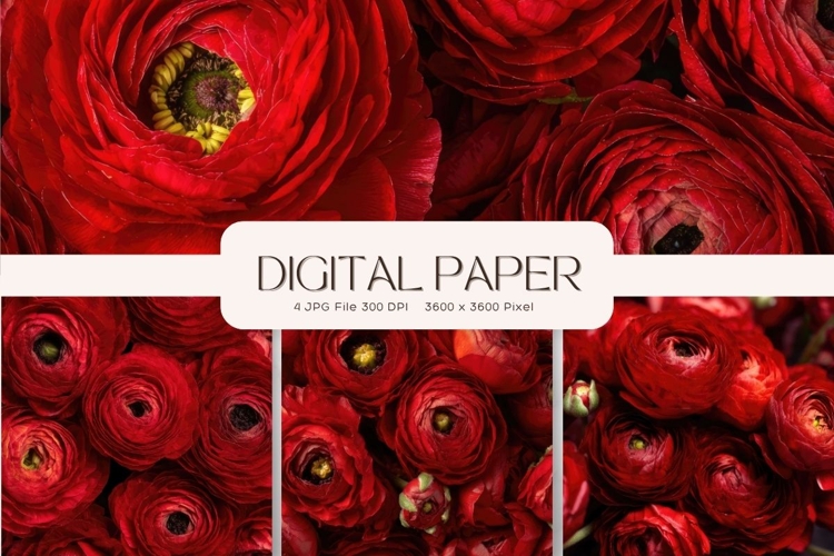 Flower Background Digital Paper Wallpaper Backdrop_43