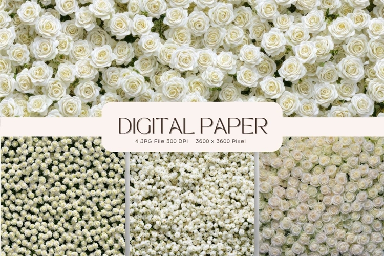 Flower Background Digital Paper Wallpaper Backdrop_19