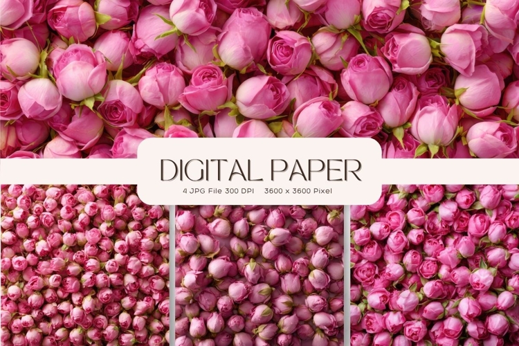 Flower Background Digital Paper Wallpaper Backdrop_51