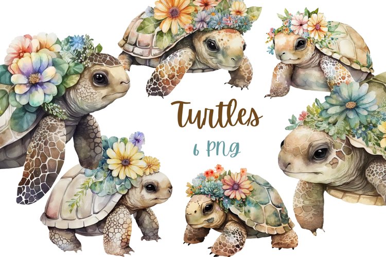 Turtles with Flowers - Set of 6 PNG