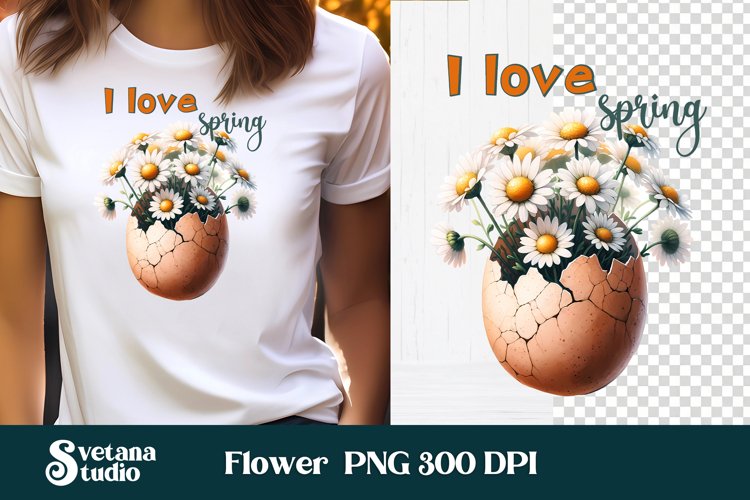 Daisy Illustration Image 15