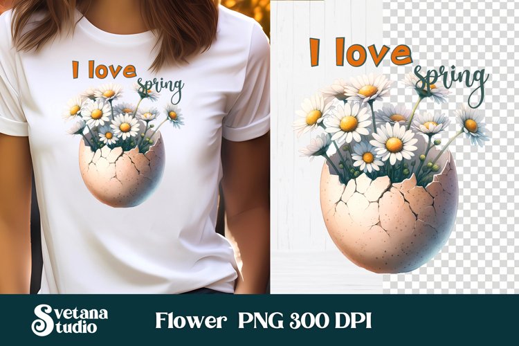 Daisy Illustration Image 14