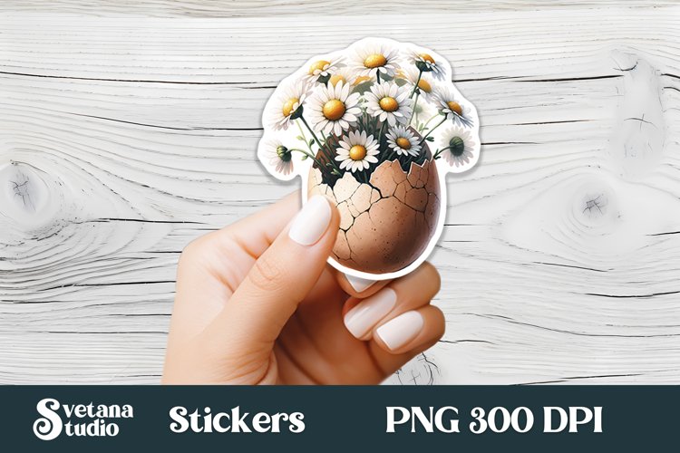 Egg Illustration Image 11