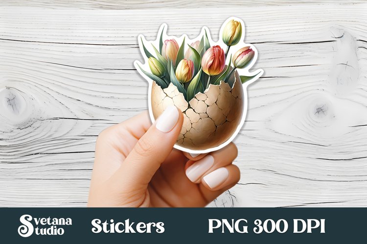 Egg Illustration Image 6
