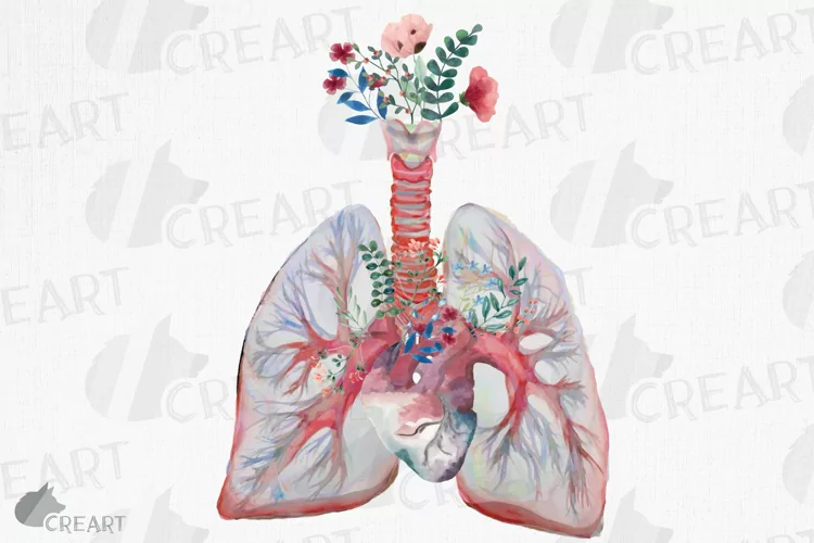 Blush and green floral anatomical lungs with heart graphic