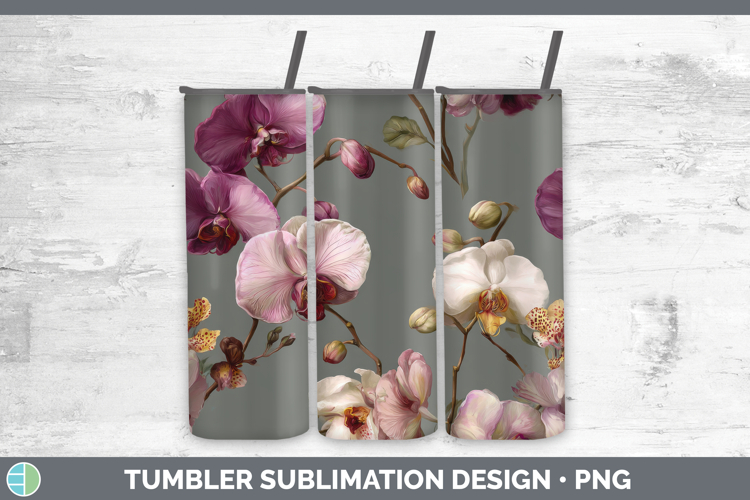 Orchid Clipart Image 17