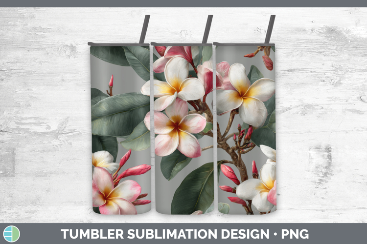 Plumeria Clipart Image 7