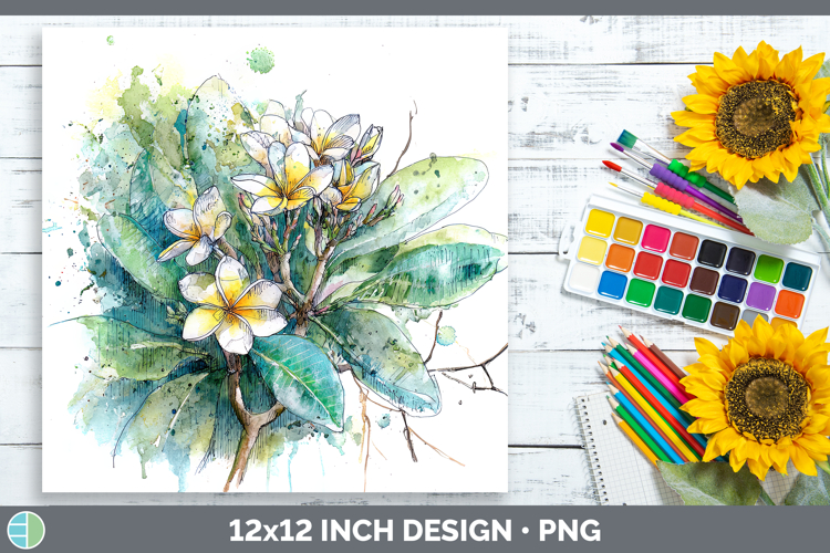 Plumeria Flowers 01 Sketch Paper Backgrounds Design