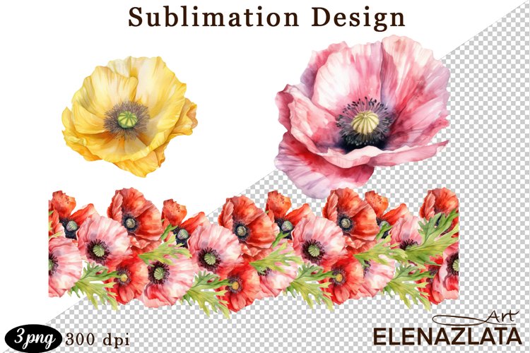 Poppy Illustration Image 13
