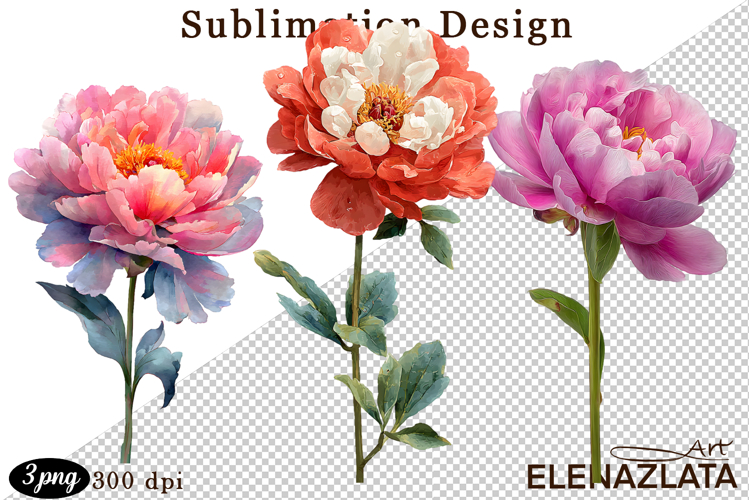 Watercolor Flowers Image 24