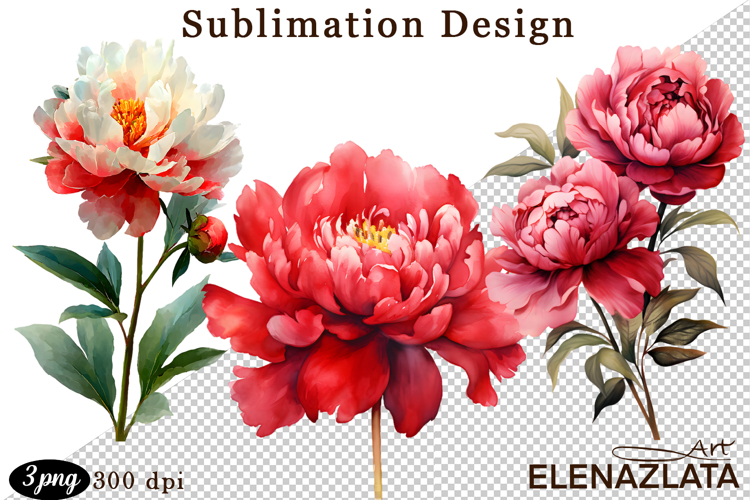 Watercolor Flowers Image 23