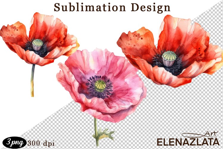Poppy Illustration Image 6