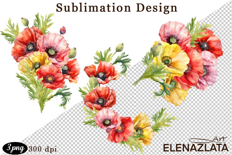 Poppy Illustration Image 5