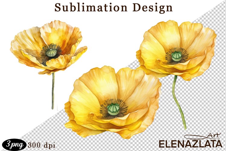Poppy Illustration Image 14