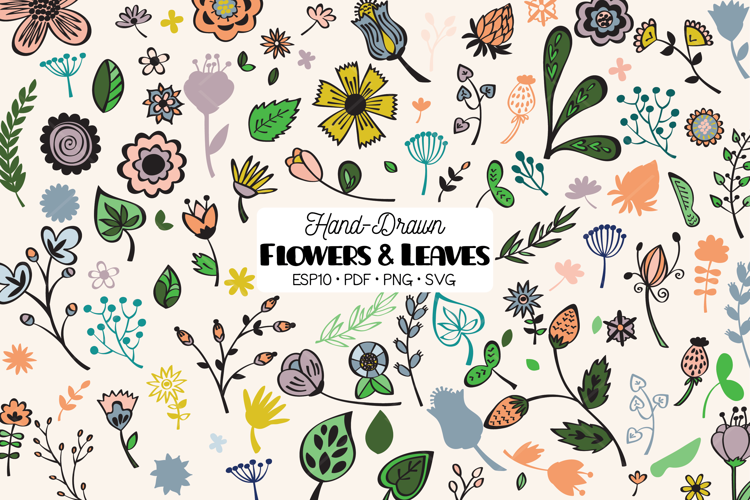 Colored Wild Flowers & Leaves | Hand Drawn Nature, Plants
