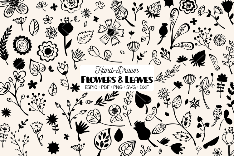 Flowers & Leaves | Hand Drawn Wild Flower, Nature, Plants example image 1