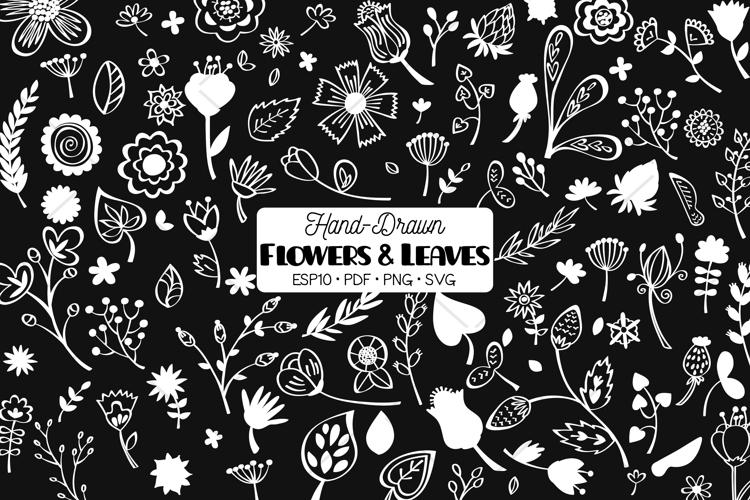 White Wild Flowers & Leaves | Hand Drawn Nature, Plants example image 1