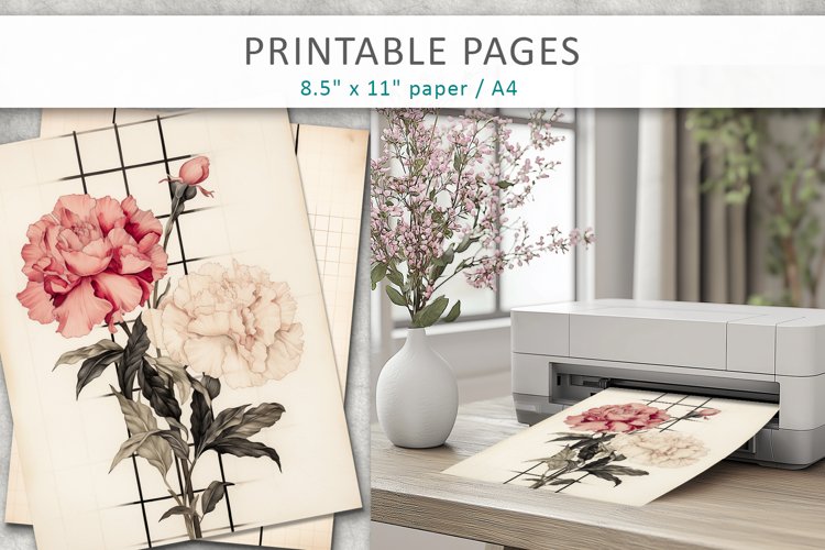 Flower Illustrations