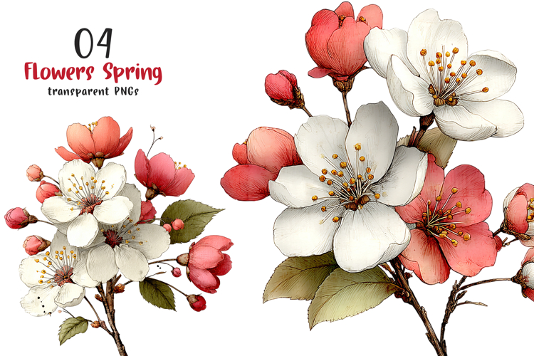 Flowers Spring Clipart