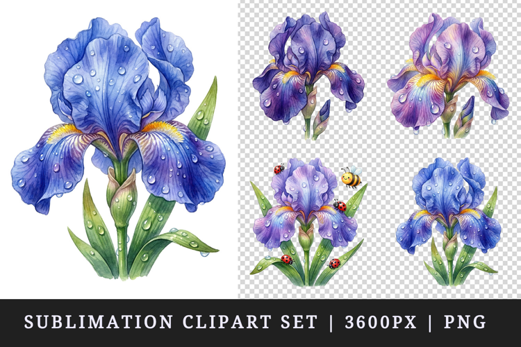 Flowers clipart printable sublimation design png