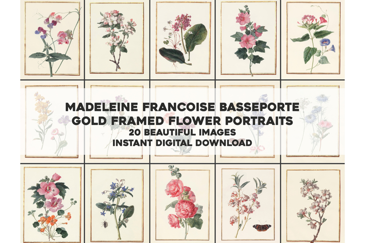 20 Vintage French Botanical Prints Gold Framed Gilded