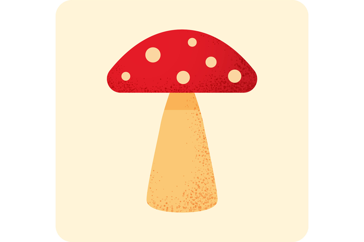 Red fly agaric mushroom with dotted cap and textured stem0
