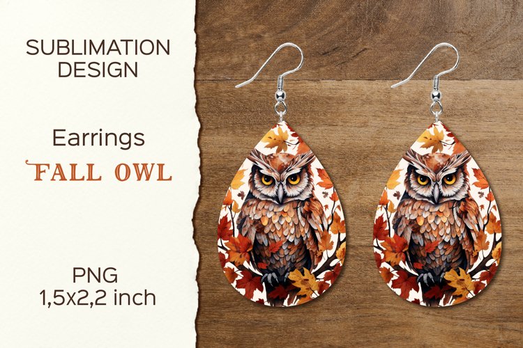 Owl Clipart Image 21