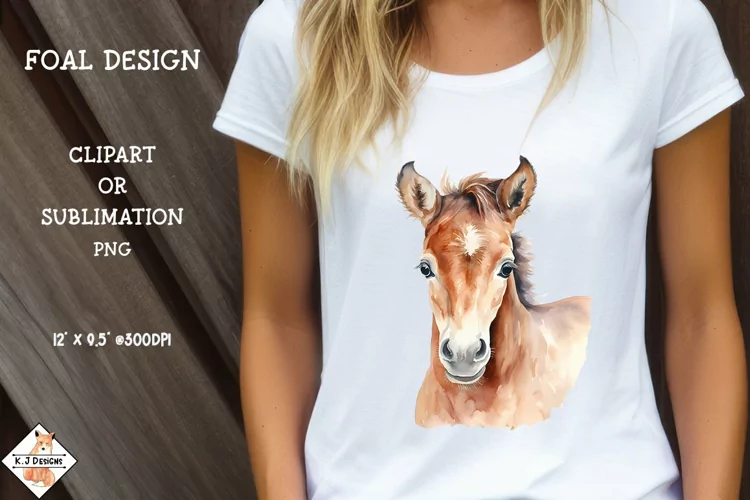 Foal Watercolor Clipart | Horse Sublimation