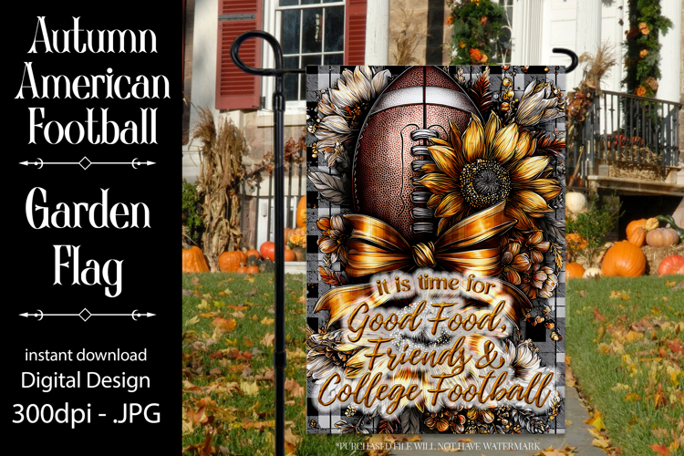 Flag Football Clipart Image 22
